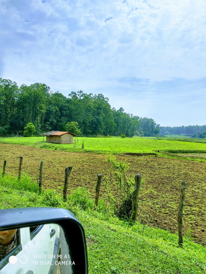 nature