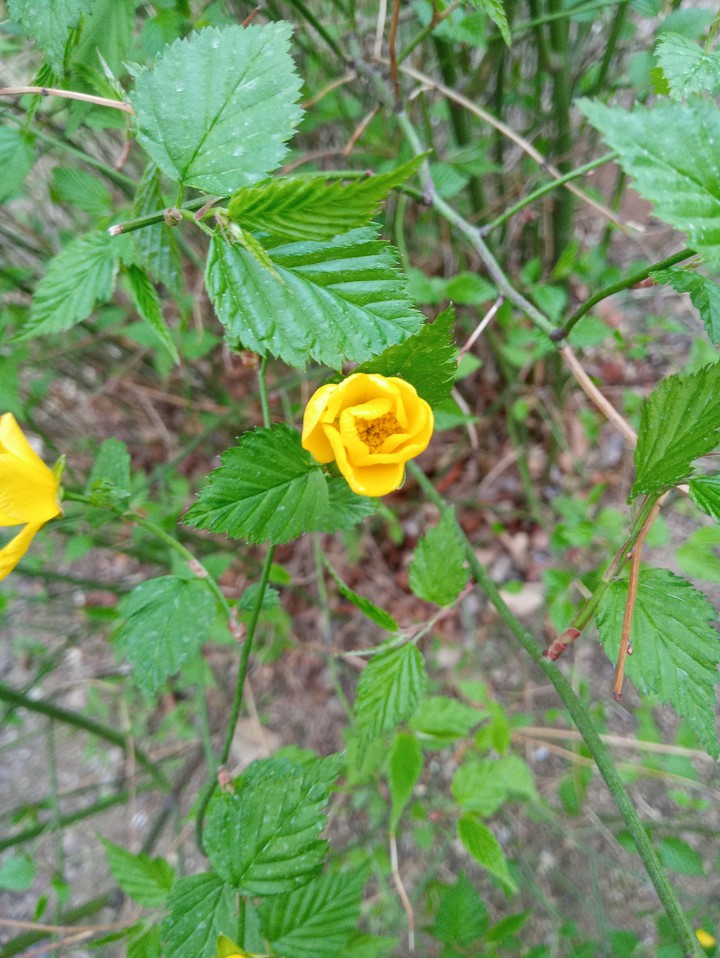 ?