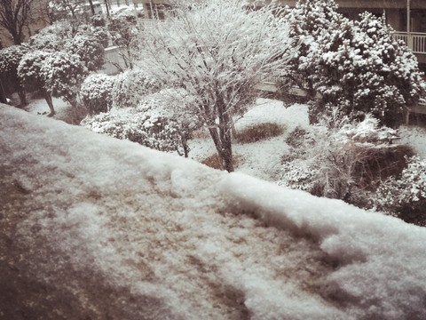 雪