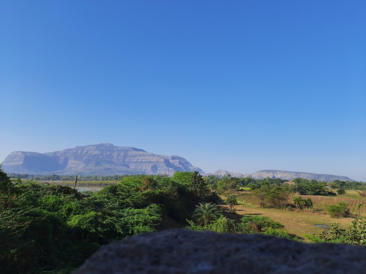 Landscape 1