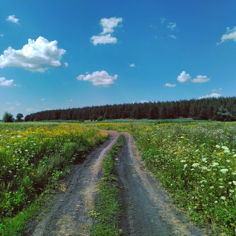 lonely road