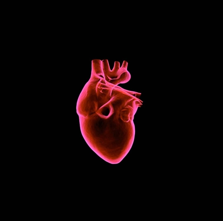 heart
