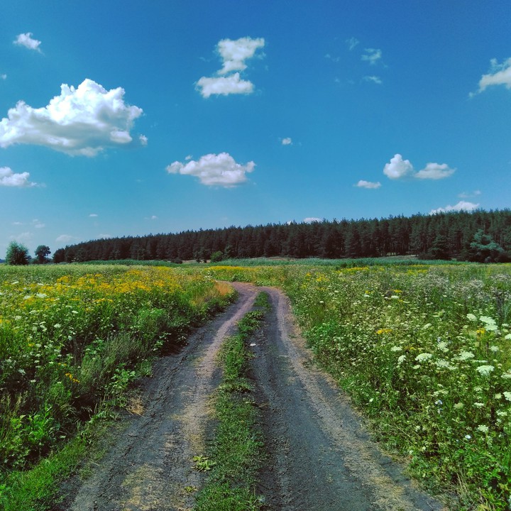 lonely road