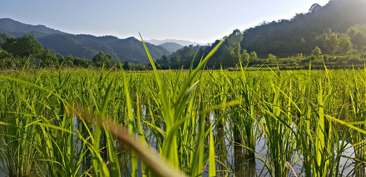 Gilan