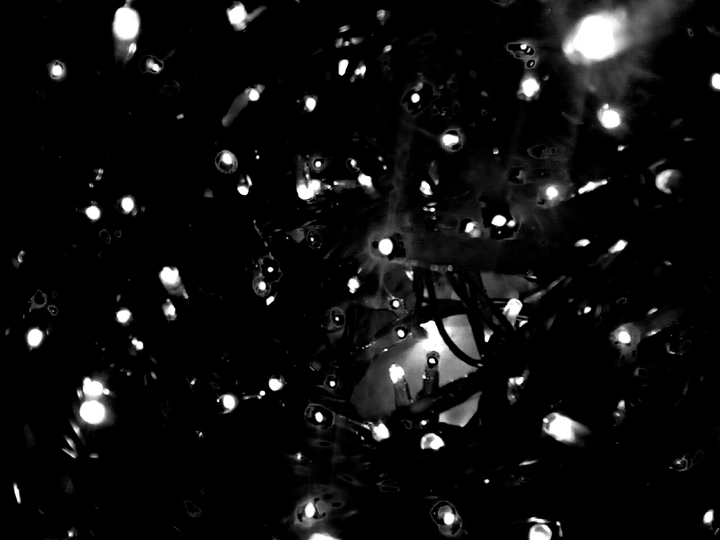 Christmas stars