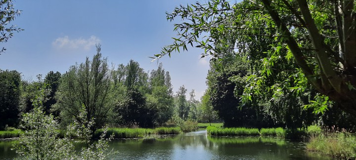 Spring nature