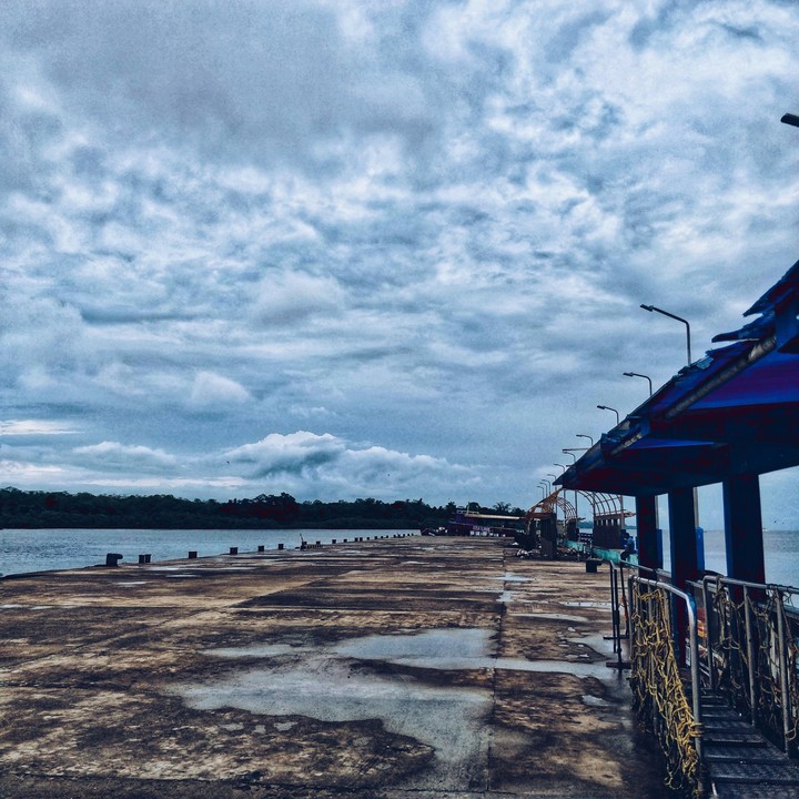 The Harbor
