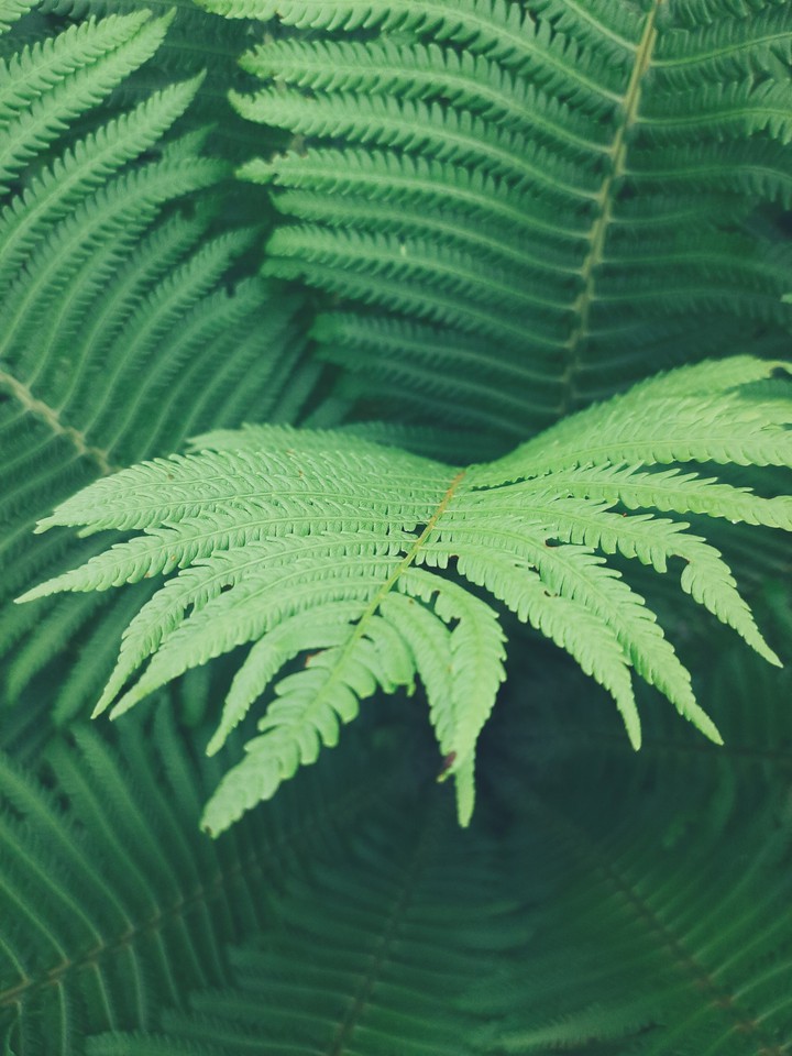 green