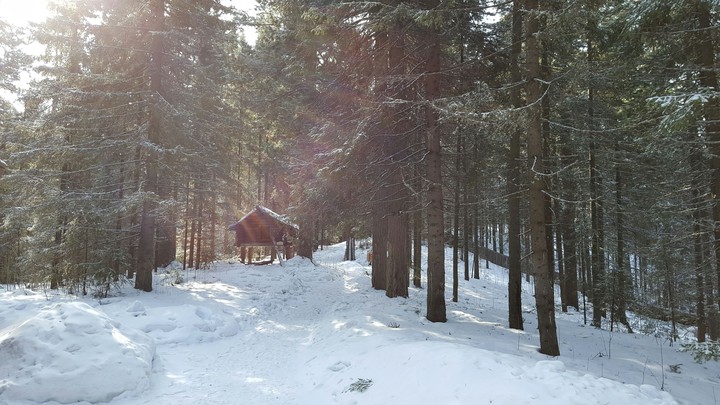lodge Siberian forest