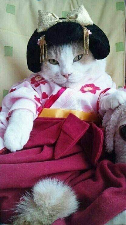 Princesa gatinha!!!