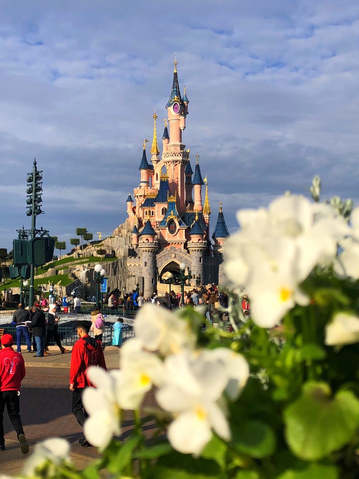 beauty sleeping castle