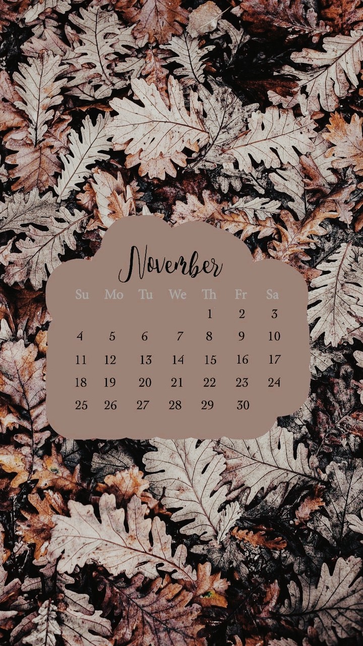 November 2018