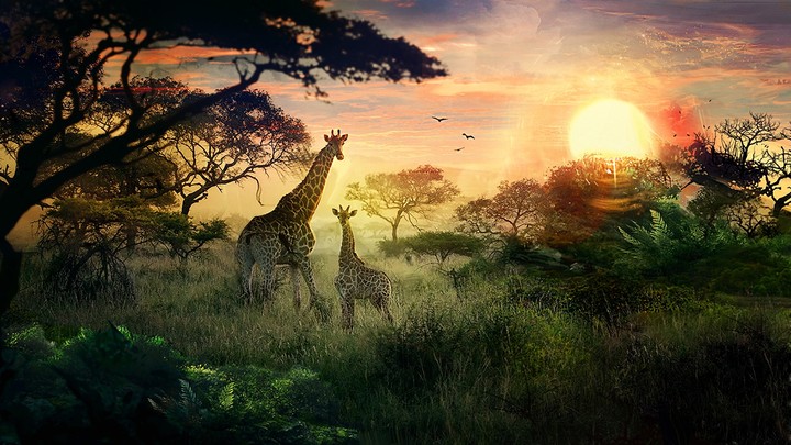 sunset