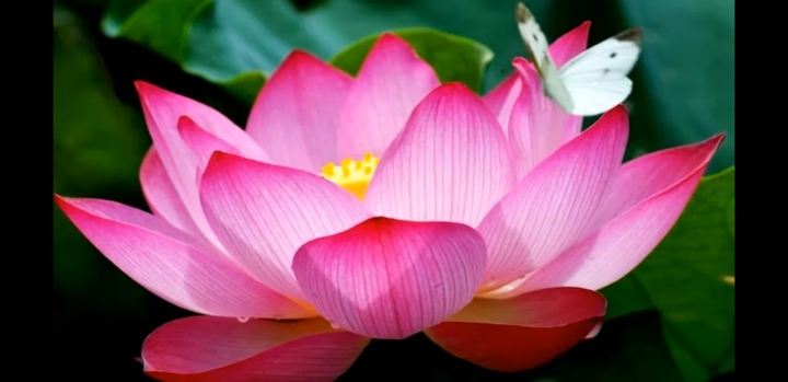Beauti of nature