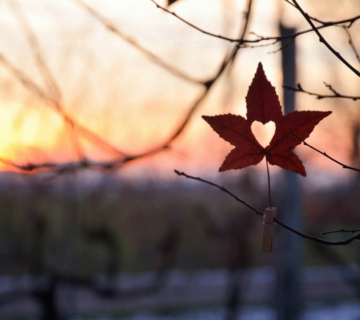 Hope in the morning