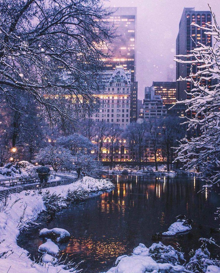 snow ❄️