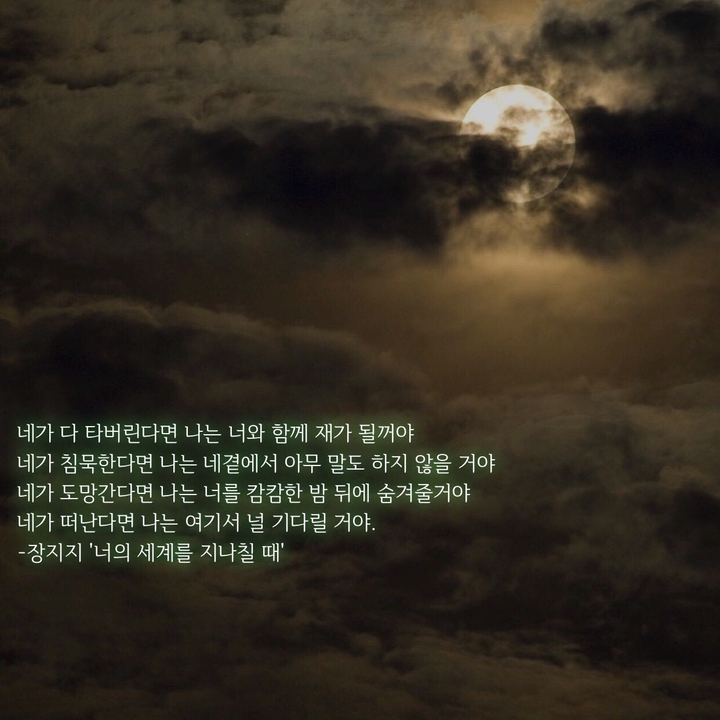 장지지 '너의 세계를 지나칠 때'
