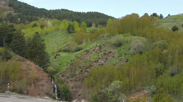 ağaç