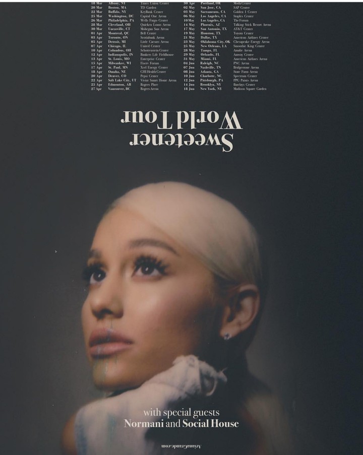 Sweetner tour...Ariana Grande