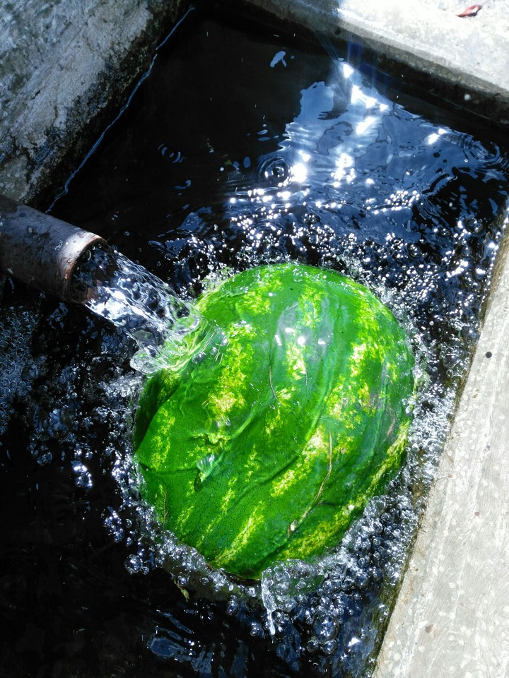 A cool watermelon