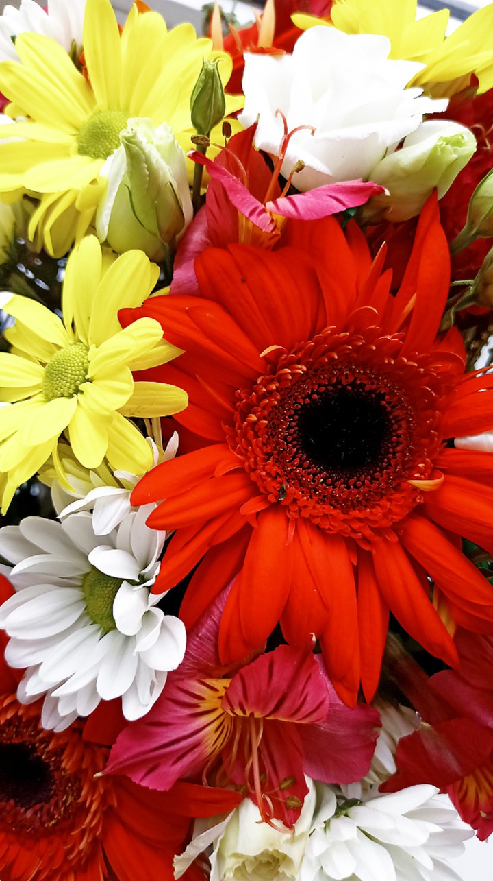 Flowers