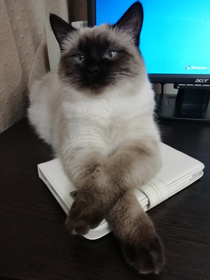 Business lady!