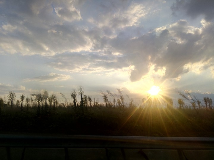 Roadtrip