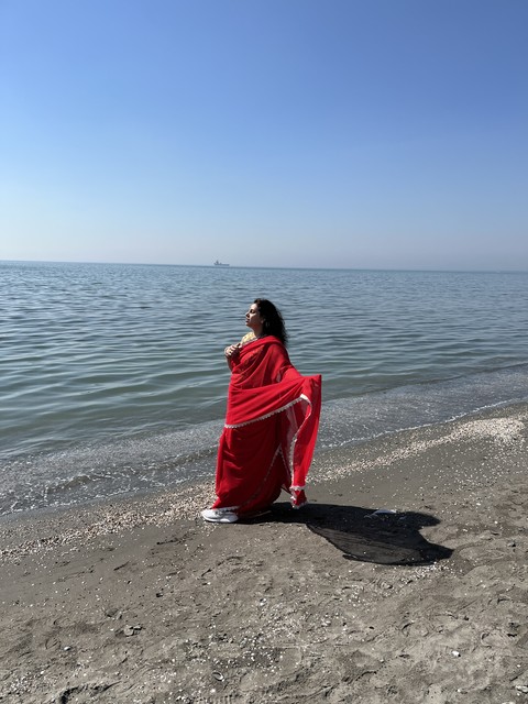 ταπετσαρίες lake, sleeve