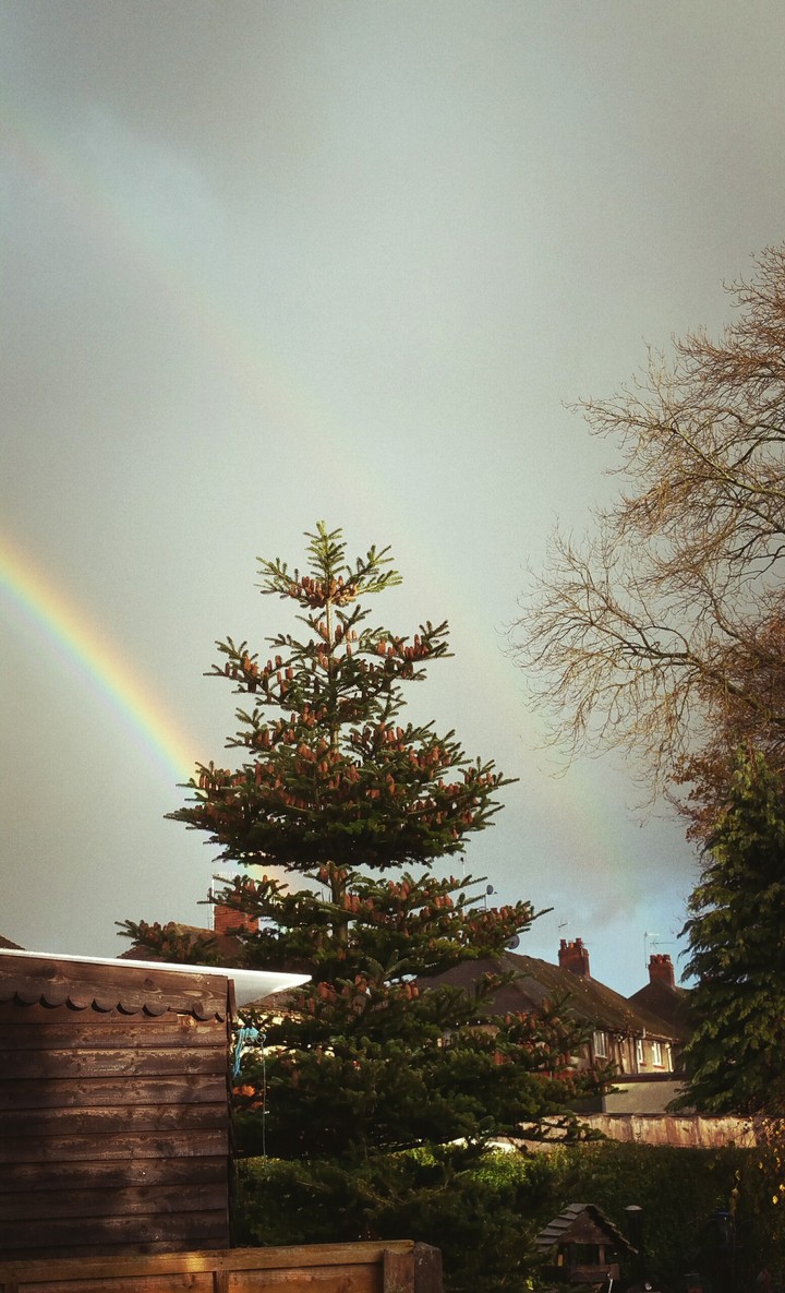 double rainbow