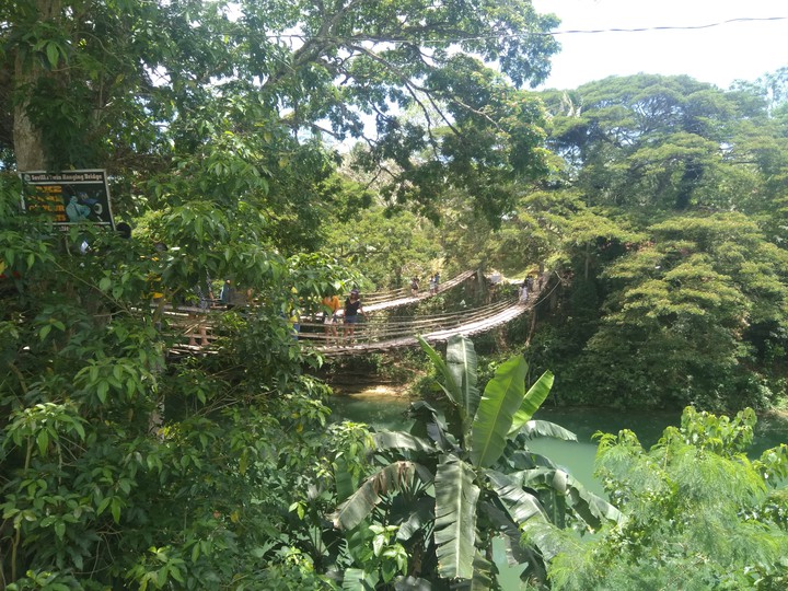 #bridge