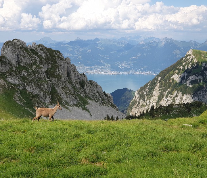 Lac du Darbon France