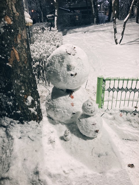 Snow man with family