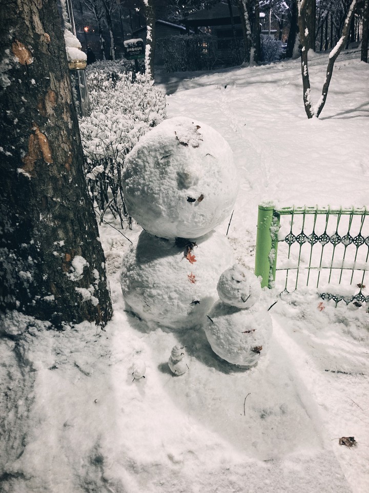 Snow man with family