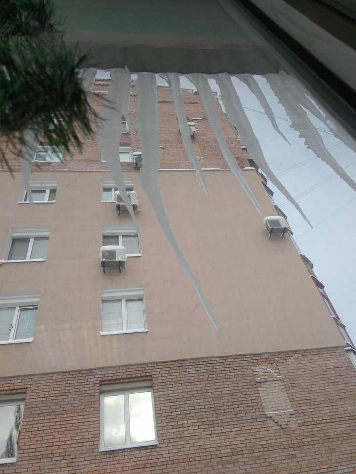 icicles