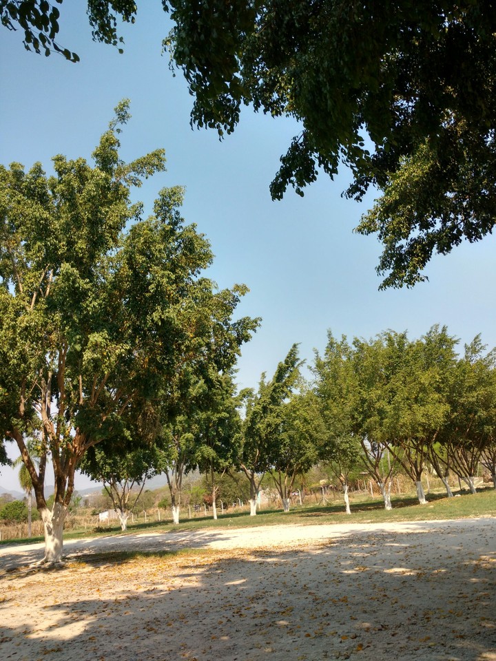 Parking spot