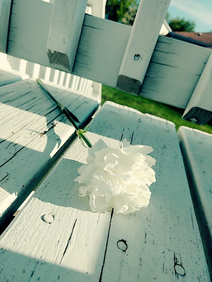 something beautiful for someone beautiful 