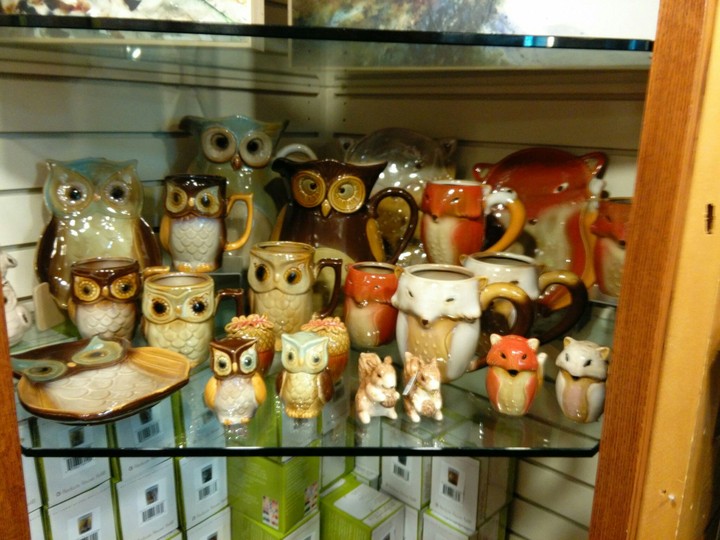 Bunch of owls