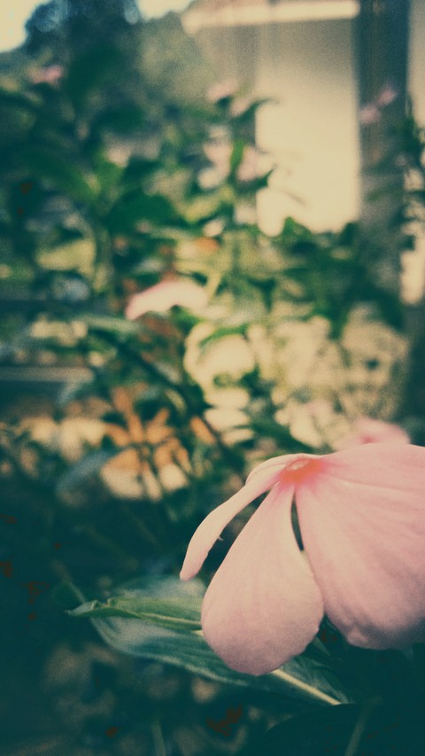 beautyy