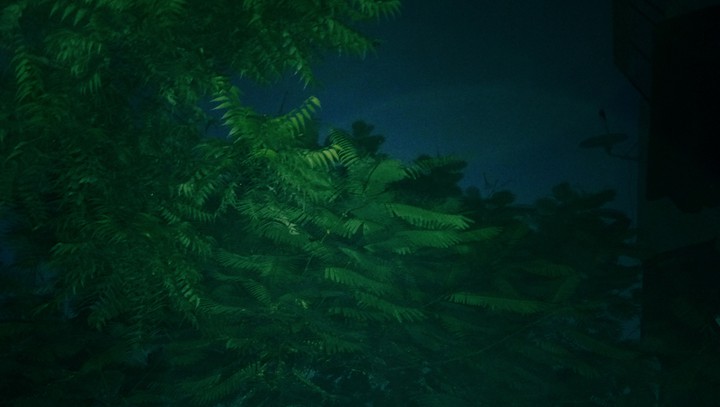 AWinter Night