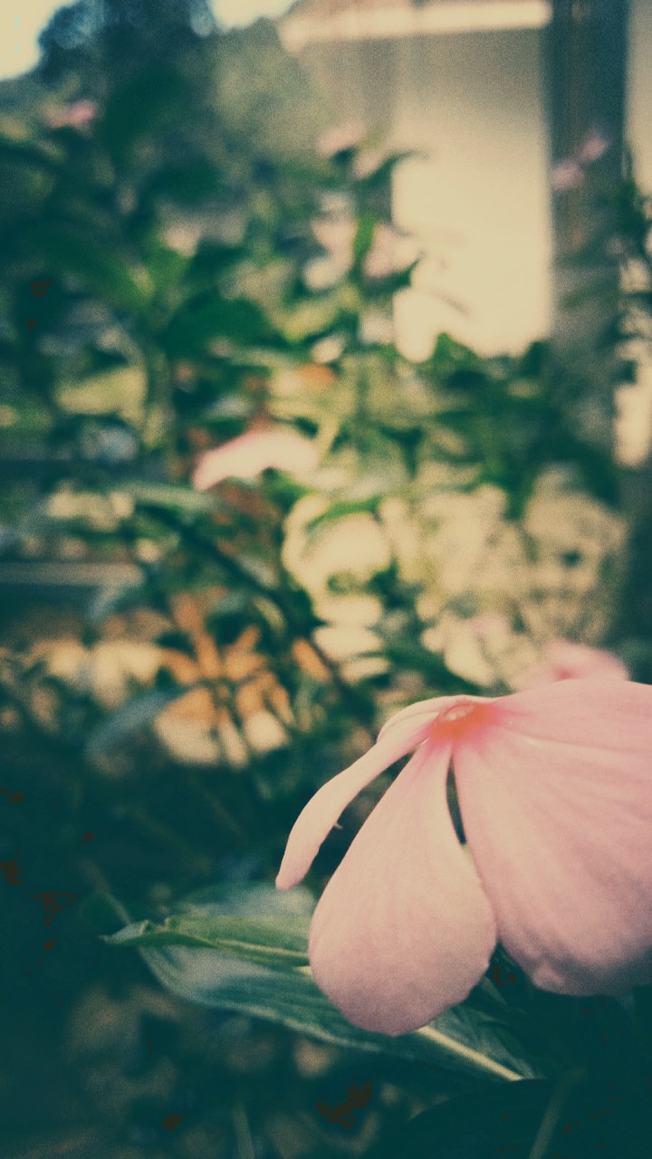 beautyy