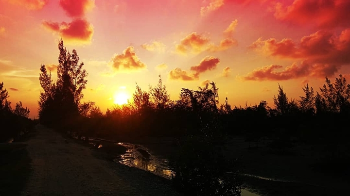 Red Sunset
