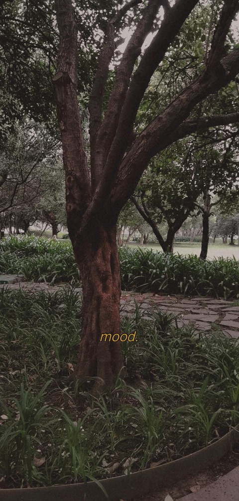 Mood