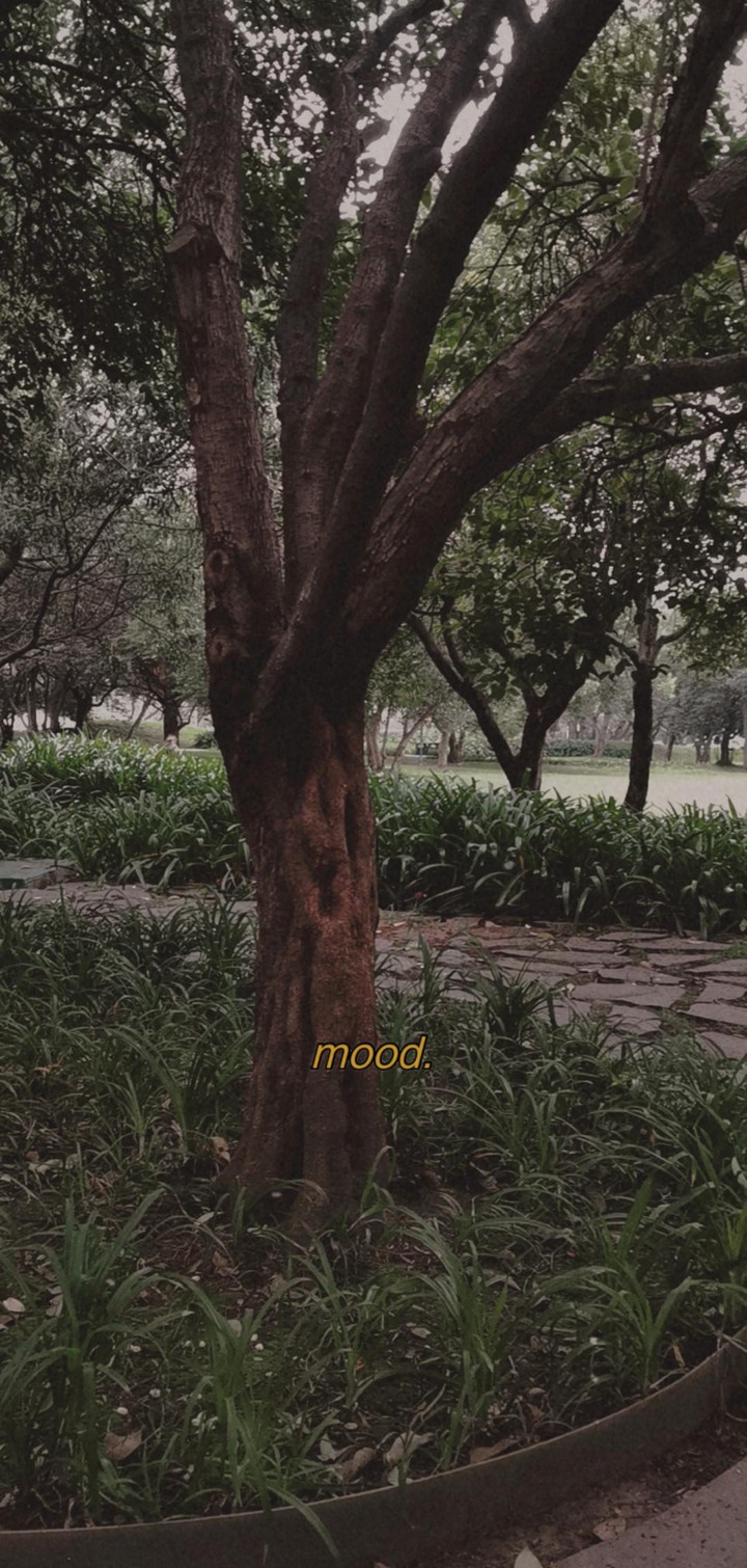 Mood