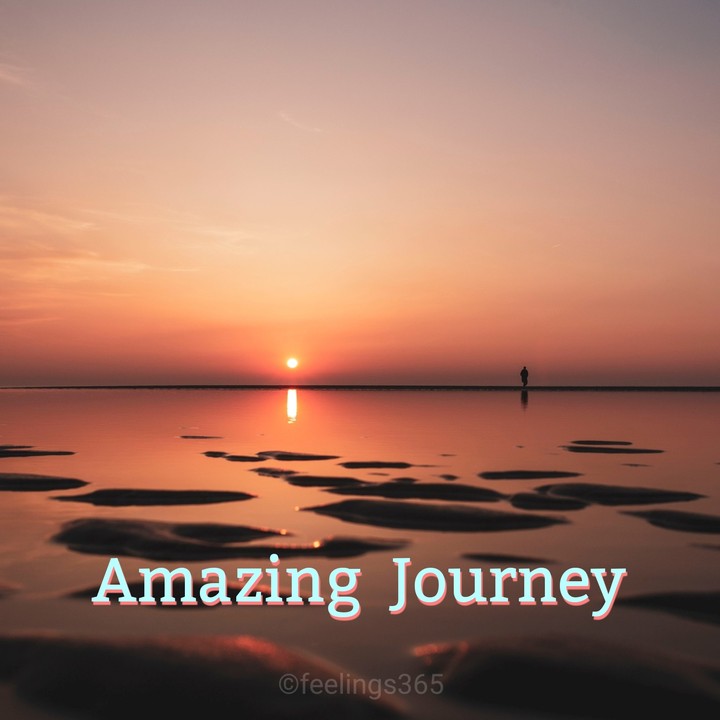 Amazing Journey