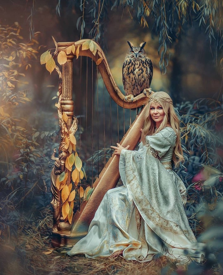 ✨