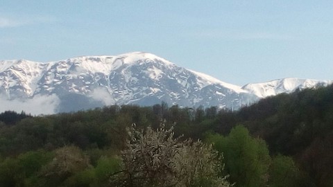 snow - BG