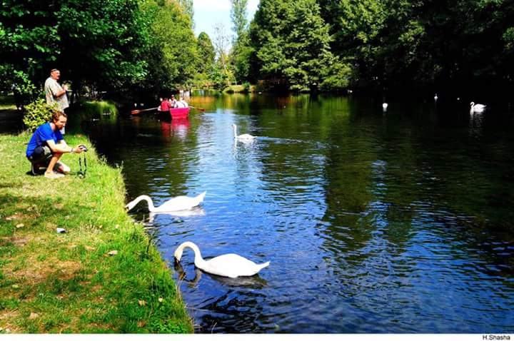 pogradec