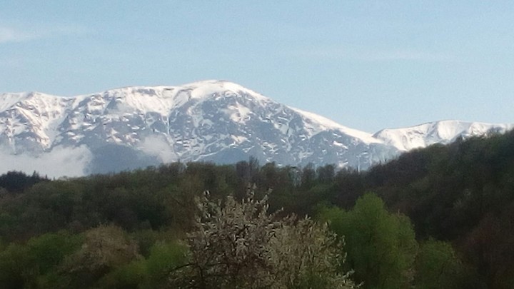 snow - BG