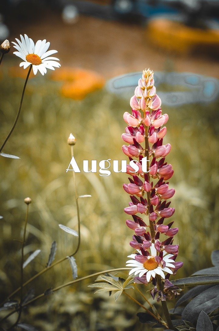August