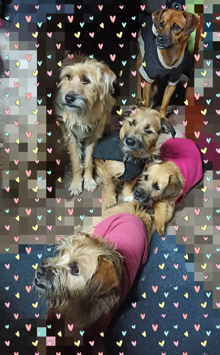 hermanos